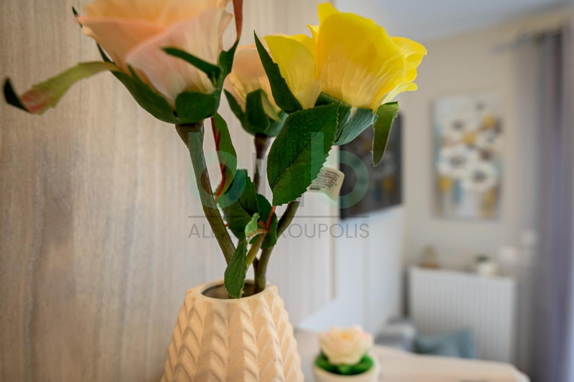 Anastasia'S Comfort Studio Alexandroúpolis Luaran gambar
